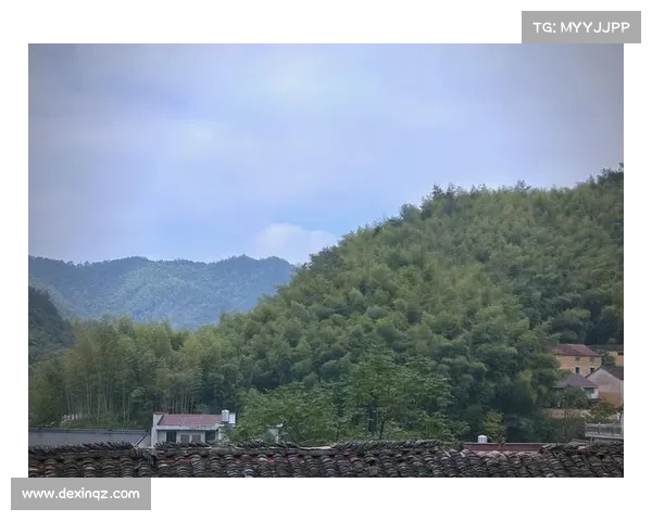 乡村宁静与和谐共生的生活体验全攻略让你享受自然与人文的完美结合 乡村宁静与和谐共生的生活体验全攻略让你享受自然与人文的完美结合