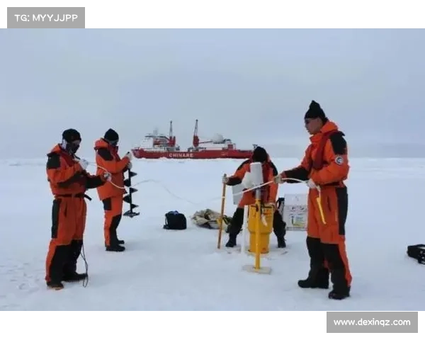 张德培带领团队夺冠背后的坚持与智慧探索 如何从挫折中崛起并超越自我