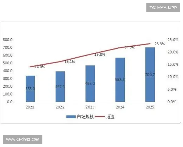戴尔在拜仁未来发展方向的战略规划与潜力分析 戴尔在拜仁未来发展方向的战略规划与潜力分析
